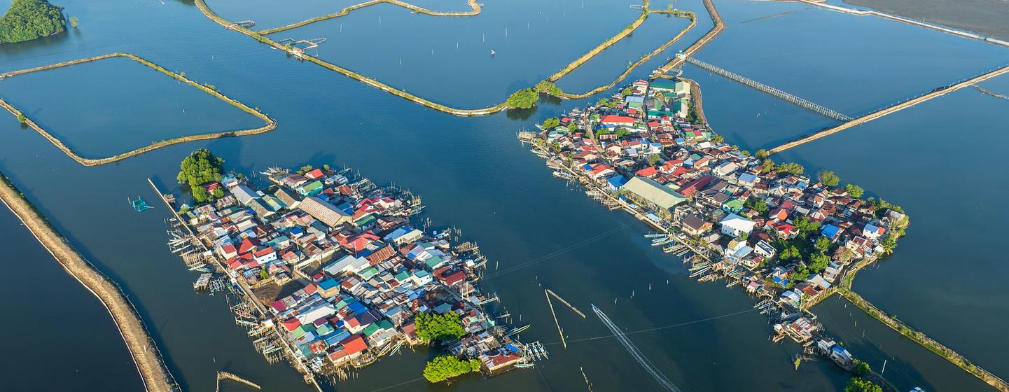 Tide of change in Philippines as women revive watersheds and livelihoods — Global Issues Tide of change in Philippines as women revive watersheds and livelihoods — Global Issues