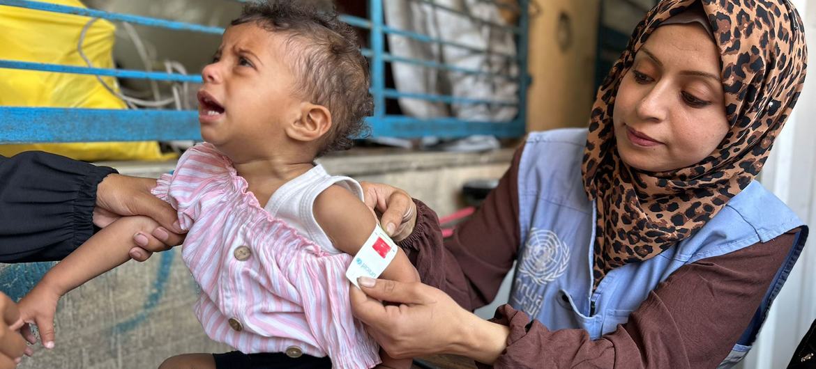 Gazans dying in search of food, ‘starkest illustration’ of their desperation — Global Issues Gazans dying in search of food, ‘starkest illustration’ of their desperation — Global Issues
