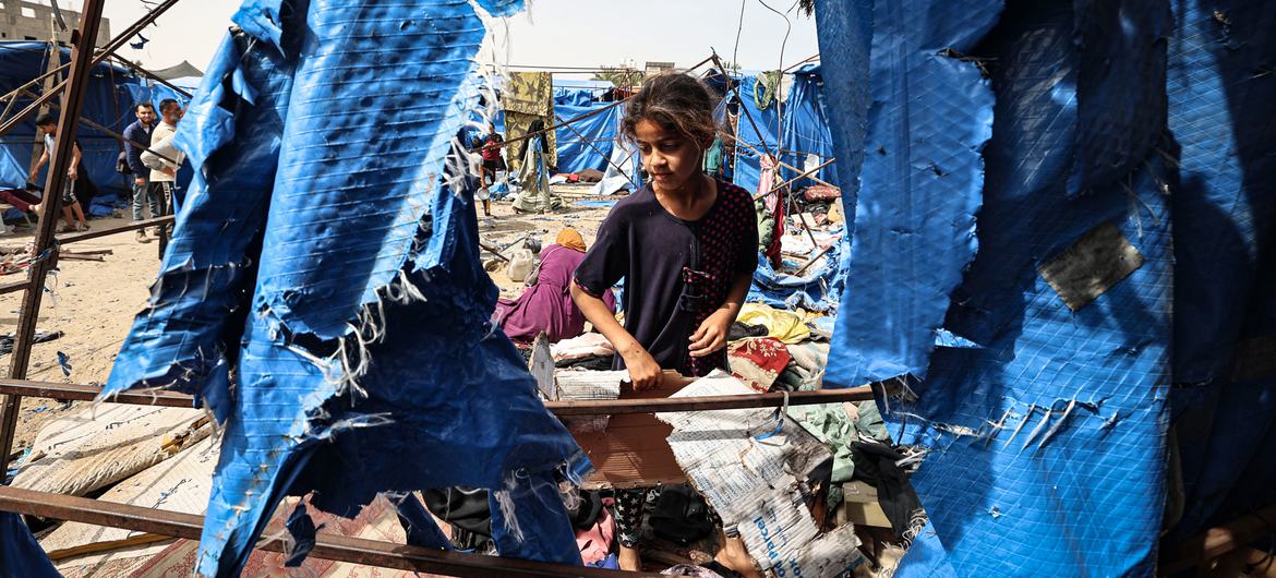 ‘Unacceptable’ choice between getting shot or getting fed — Global Issues ‘Unacceptable’ choice between getting shot or getting fed — Global Issues
