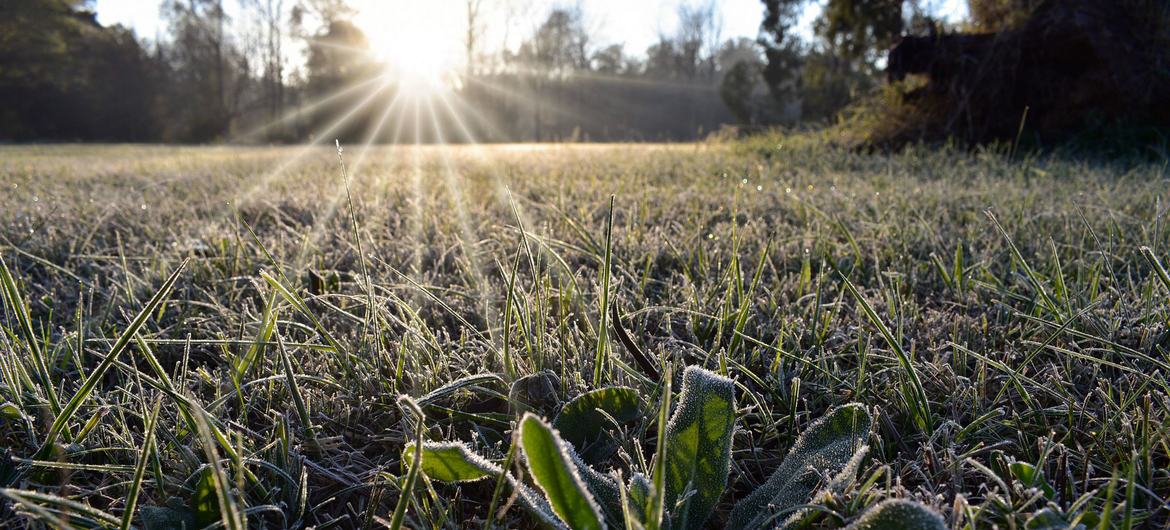 Chile and Argentina among coldest places on Earth as polar anticyclone grips region — Global Issues Chile and Argentina among coldest places on Earth as polar anticyclone grips region — Global Issues