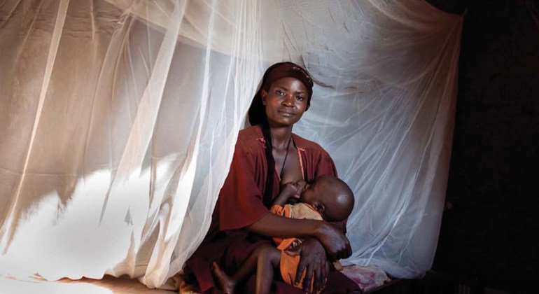 Multi-level strategy to fight malaria launched by UN development arm and partners