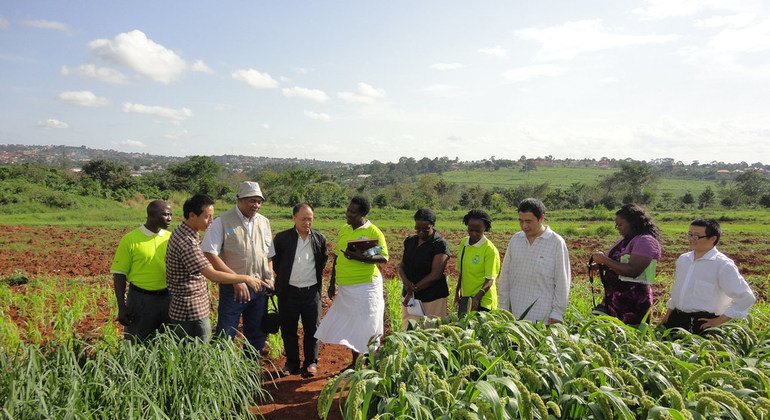 More countries partner to target ‘zero hunger’ in global south