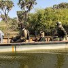 2019 年 2 月，喀麦隆士兵在乍得湖受到恐怖活动影响的部分地区巡逻。