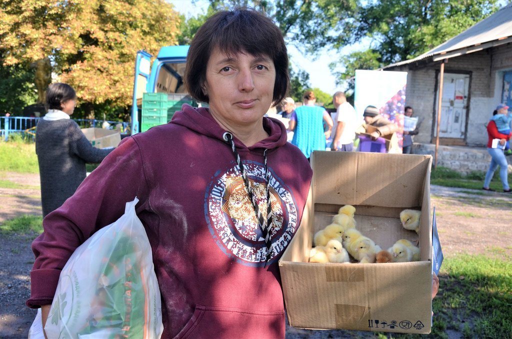 来自受冲突影响的乌克兰东部地区的斯维特拉娜（Svitlana）将这些只有30天大的小鸡带回家饲养。