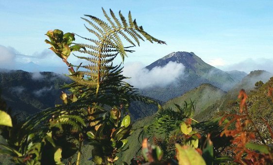 View of Mount Apo from Mount Talomo, Davao City, in the Philippines. (4 August 2019)