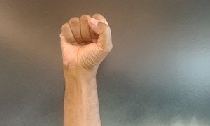 File photo of fist raised in protest.