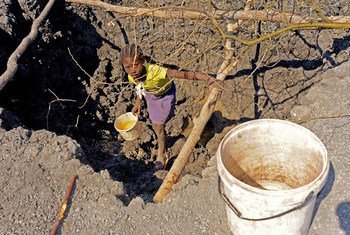 Angola é apontada como exemplo dos efeitos da mudança climática, com quase 7 milhões de pessoas com fome por causa da pior seca em 40 anos