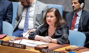 Maria Luiza Viotti, chef de cabinet du Secrétaire général de l'ONU, prend la parole devant le Conseil de sécurité lors d'une réunion consacrée à la paix et à la sécurité au Moyen-Orient. (20 août 2019)