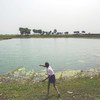 Un estanque en la aldea de Dhokandpur, India, usado para recolectar agua de lluvia que se utiliza exclusivamente para consumo humano. El agua se trata en una pequeña planta de filtración y posteriormente se suministra a la aldea.