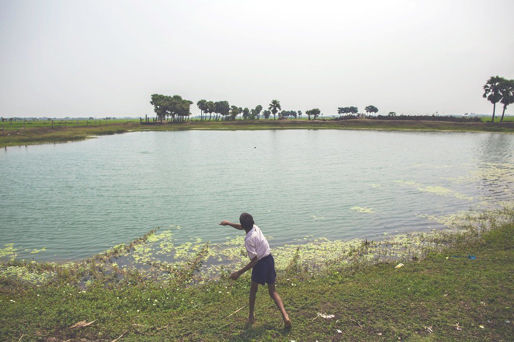 印度多坎德普村的一个池塘收集雨水，这些雨水专门用于饮用。它与一个小型过滤厂相连，并用管道向村庄供水。