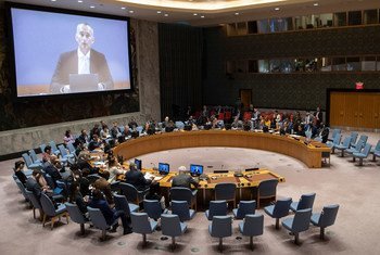 نيكولاي ملادينوف المنسق الخاص للأمم المتحدة لعملية السلام في الشرق الأوسط يتحدث أمام مجلس الأمن عبر دائرة تليفزيونية مغلقة. 27 أغسطس/آب 2019.