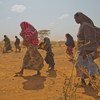 شهد النصف الأول من العام  نزوحا قسريا في الصومال بسبب انعدام الأمن والجفاف والفيضانات. في الصورة: لاجئون من الصومال يصلون إلى مخيم للاجئين في إثيوبيا.  (ملف 13 يونيو 2012)