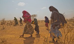 Refugees from Somalia arrive at the Burumino refugee camp in Ethiopia. Due to poor rainfall, and continued insecurity in Somalia, the number of refugees at the camp increased.