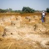 घाना में मरुस्थलीकरण का एक दृश्य (फाइल). मरुस्थलीकरण दुनिया भर में एक नई चुनौती पेश कर रहा है जिससे ज़मीन बंजर होती जा रही है और खाद्य असुरक्षा बढ़ने का ख़तरा है.