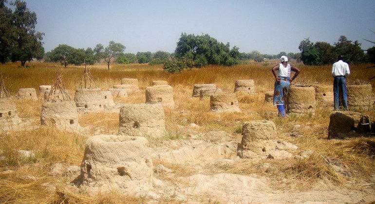 घाना में मरुस्थलीकरण का एक दृश्य (फाइल). मरुस्थलीकरण दुनिया भर में एक नई चुनौती पेश कर रहा है जिससे ज़मीन बंजर होती जा रही है और खाद्य असुरक्षा बढ़ने का ख़तरा है.