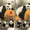 联合国邮政管理局今天发行两版以联合国开发计划署（UNDP）全球动物形象大使——双胞胎熊猫“启启”和“点点”为主题的邮票。