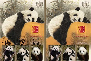 联合国邮政管理局今天发行两版以联合国开发计划署（UNDP）全球动物形象大使——双胞胎熊猫“启启”和“点点”为主题的邮票。