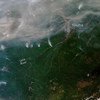 西伯利亚爆发了数百场野火，2019年7月28日从太空拍摄的这张照片中可以看到其中的一些。
