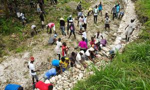 Des membres du communauté dans le sud-ouest d'Haïti réhabilitent une route endommagée par le séisme.