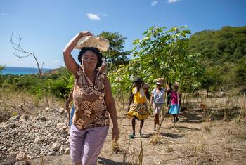 在海地西南部受地震影响地区，妇女参与社区修复遭到破坏的道路的工作。