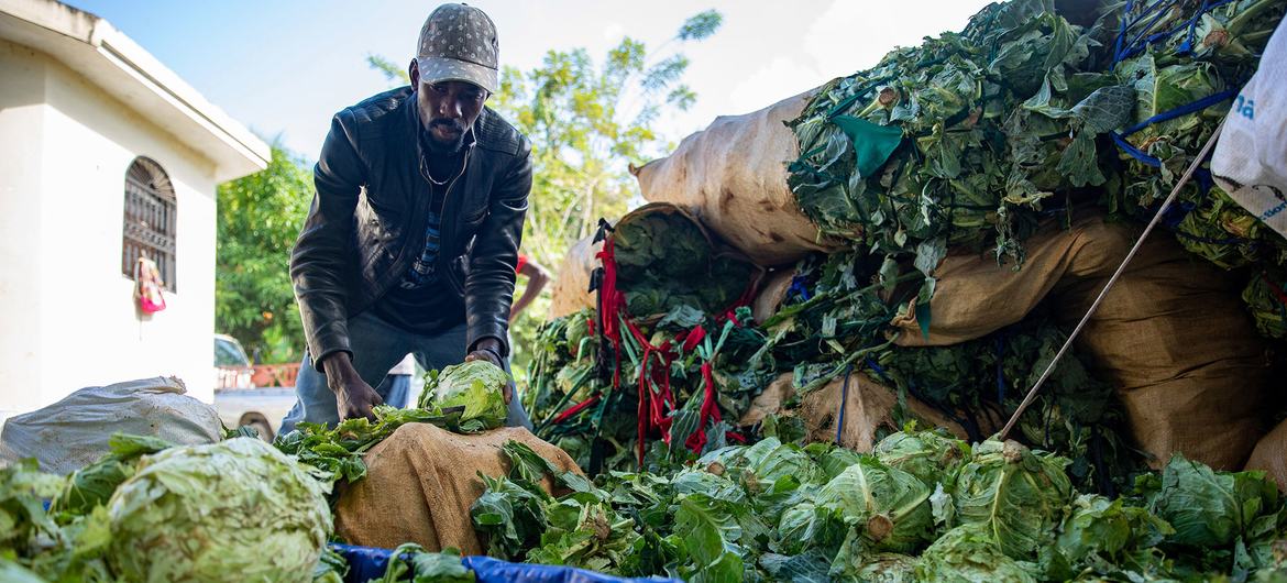 Farmers in the south of Haiti are struggling to bring goods to the market