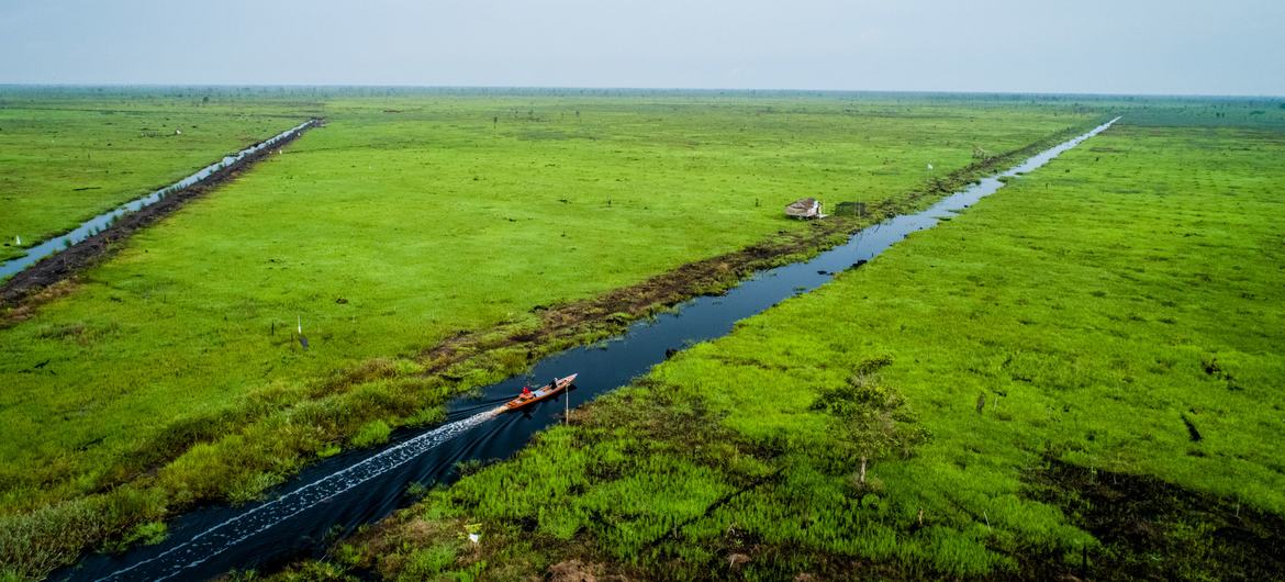 Barcos de busca de peixes cruzam o rio fronteiriço entre a vila de Perigi e a área da reserva de vida selvagem de Padang Sugihan, na Indonésia