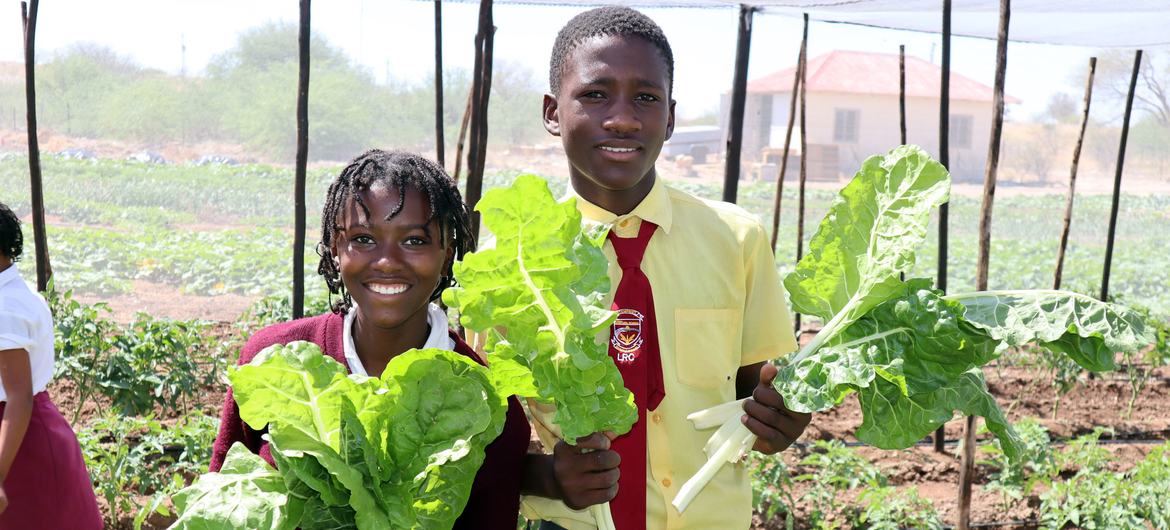 A girl and a boy in school uniforms stand in a school garden, each holding a large bunch of freshly harvested spinach.