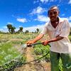 Доступ к воде является приоритетной проблемой для сельского населения южной части Мадагаскара.