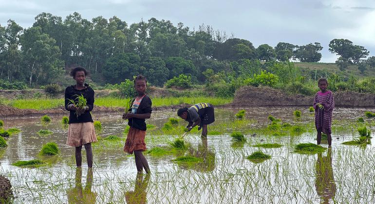Le PAM et Madagascar s’unissent pour renforcer la sécurité alimentaire et transformer les systèmes agricoles