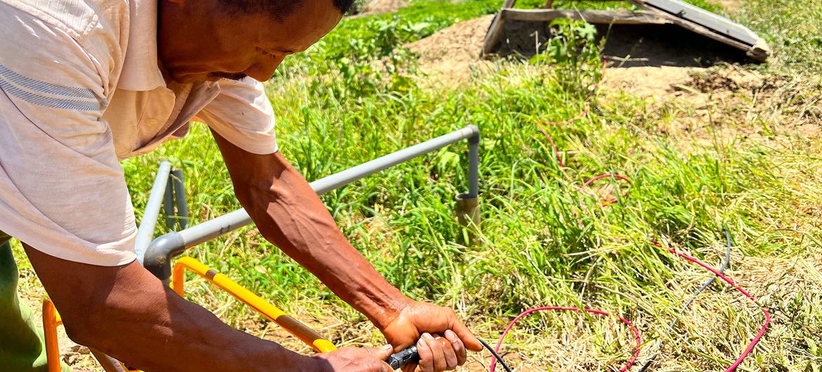 یک کشاورز در ماداگاسکار یک پمپ خورشیدی را برای آبیاری محصولات خود وصل می کند.