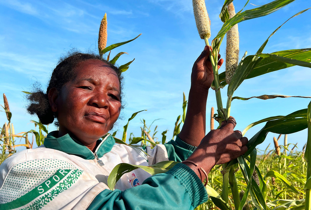 Farmers in Madagascar are participating in early warning networks which provide information about weather patterns including El Nino.