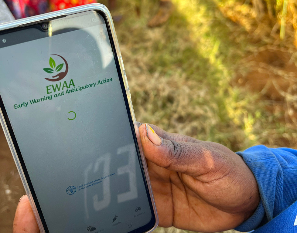 Une main tient un smartphone affichant le logo de l'application mobile « EWAA Early Warning and Anticipatory Action », avec le logo de l'Organisation des Nations Unies pour l'alimentation et l'agriculture visible en bas de l'écran.