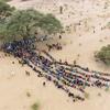 لاجئون من السودان في تشاد، يتلقون دعما إنسانيا.