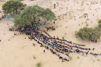 Des personnes déplacées par le conflit au Soudan font la queue pour recevoir de l'aide à leur arrivée au Tchad.