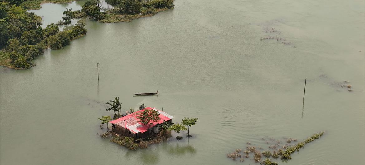मॉनसून की भीषण बारिश से पूर्वोत्तर बांग्लादेश के इलाक़े बाढ़ की चपेट में हैं.