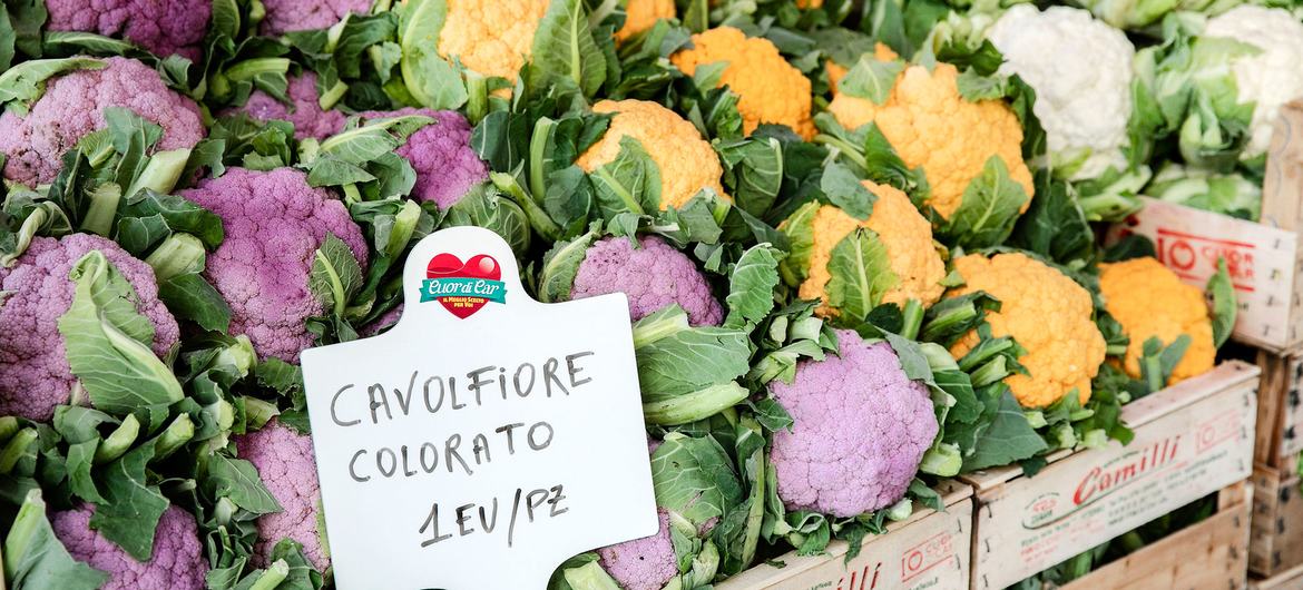 Несмотря на стабильное ежемесячное повышение на протяжении большей части года, средние глобальные цены в 2024 году оставались ниже соответствующего показателя 2023 года.