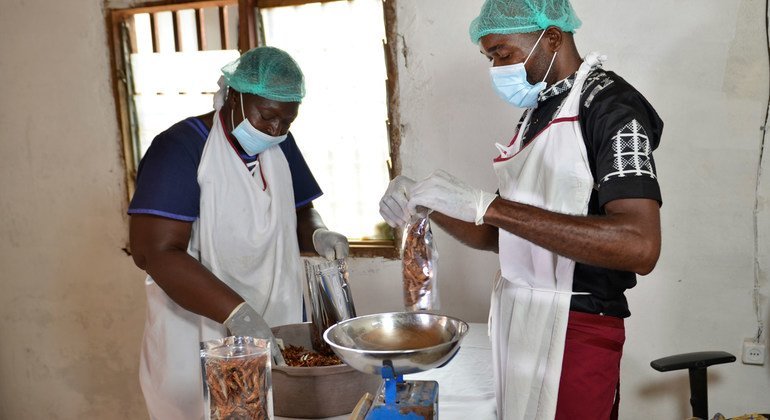 Food Heroes: Cameroon’s shrimp entrepreneur