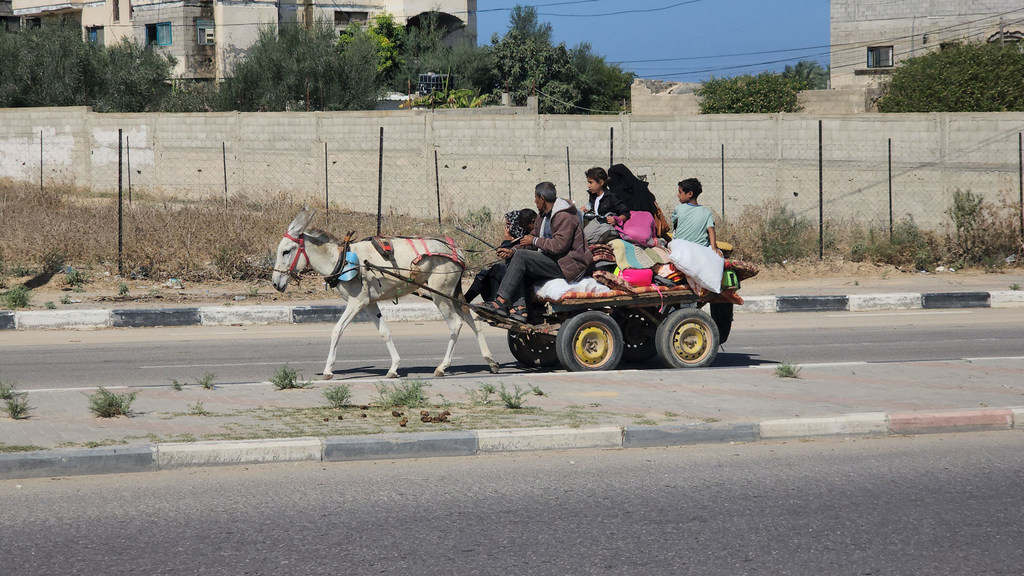 Une famille voyage du nord au sud de Gaza au début du conflit.