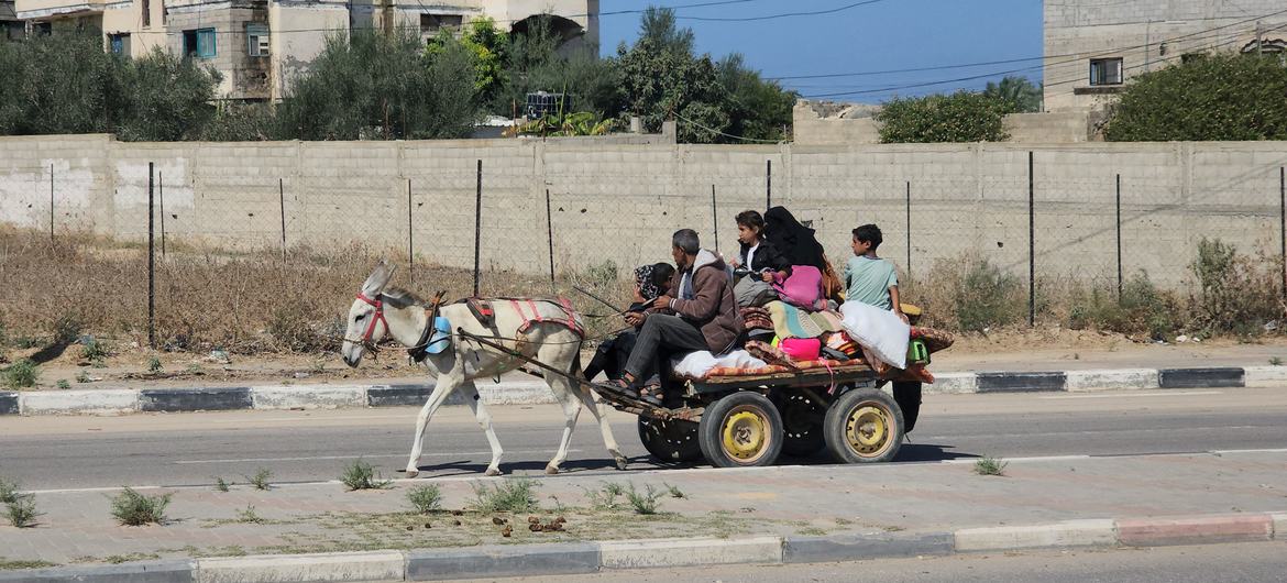 أسرة من بين آلاف الفلسطينيين الذين اضطروا إلى الفرار من شمال قطاع غزة إلى جنوبه.