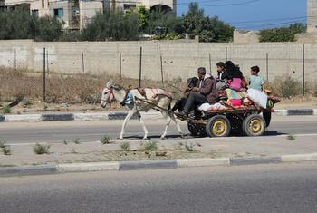 أسرة من بين آلاف الفلسطينيين الذين اضطروا إلى الفرار من شمال قطاع غزة إلى جنوبه.