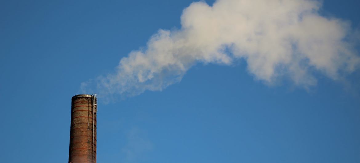 Los gases nocivos de metano contribuyen al cambio climático.