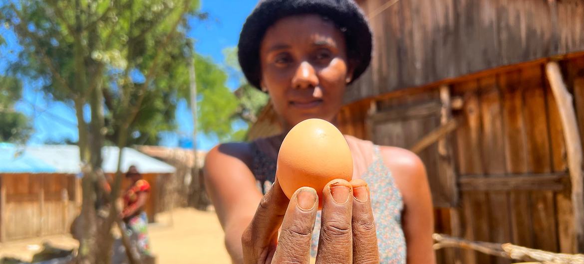 Lucette Vognentseva peut vendre ses œufs quatre fois le prix d'un œuf local.