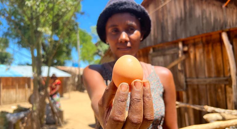 ‘Yumurtalarım yenemeyecek kadar pahalı’ (ve bu iyi bir şey) Nguncel.com