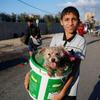 Une jeune palestinien déplacé avec son chien à Gaza.