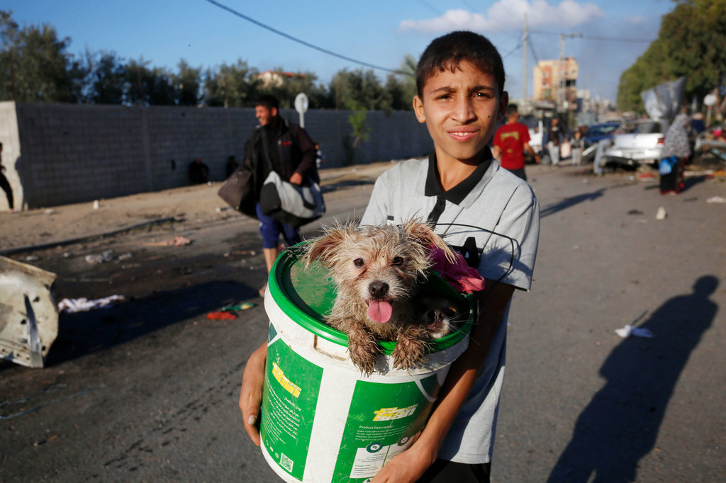 Une jeune palestinien déplacé avec son chien à Gaza.