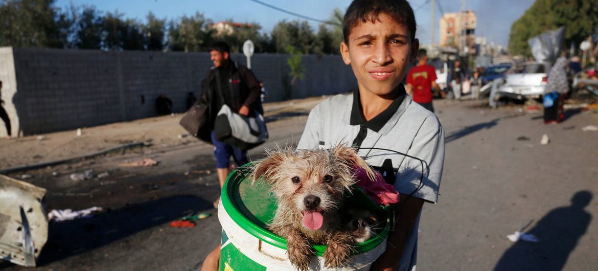 Une jeune palestinien déplacé avec son chien à Gaza.