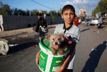 Un jeune garçon tient un chien dans un seau dans une rue dévastée de Gaza, avec des bâtiments endommagés et des débris en arrière-plan.
