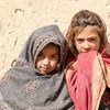 在阿富汗，每三个女孩中就有一个结婚时还不满18岁。