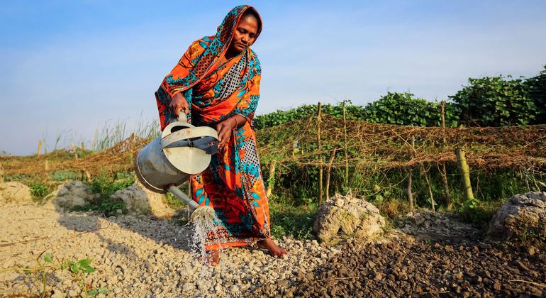 बांग्लादेश में किसान अब अधिक जलवायु-सहनसक्षम फ़सलों की खेती कर रहे हैं.