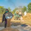 A colheita de grãos é feita em uma fazenda familiar no Paquistão